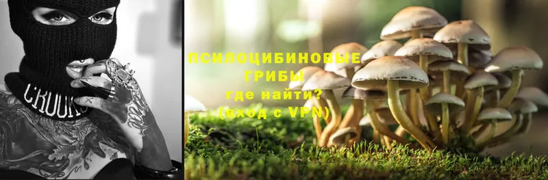 Галлюциногенные грибы Psilocybine cubensis  где продают наркотики  Арамиль 